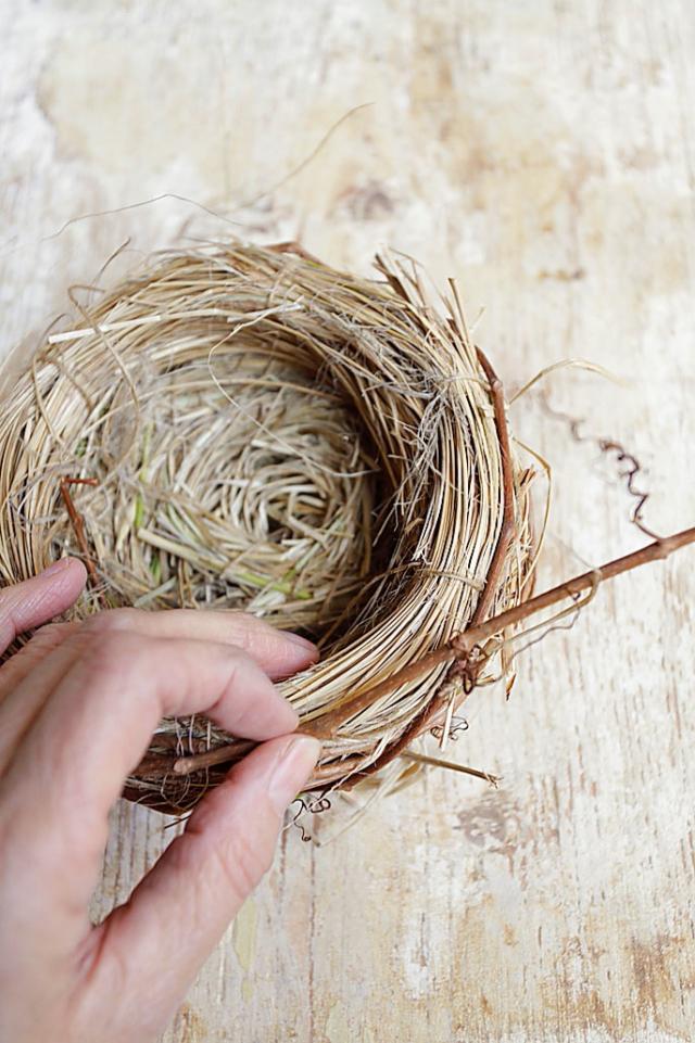 2. Per fissare facilmente il nido alla ghirlanda di Pasqua, attorcigliate subito attorno al nido un tralcio del rampicante che servirà per fare la ghirlanda. 2. Per fissare facilmente il nido alla ghirlanda di Pasqua, attorcigliate subito attorno al nido un tralcio del rampicante che servirà per fare la ghirlanda.