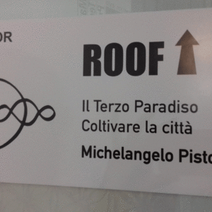 20180420_140703 20180420_140703