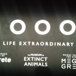 20180420_174537 20180420_174537