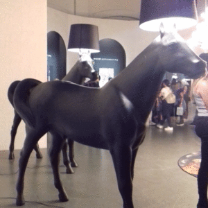 20180420_174615 20180420_174615