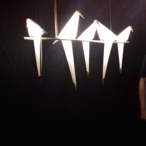 20180420_175837 20180420_175837