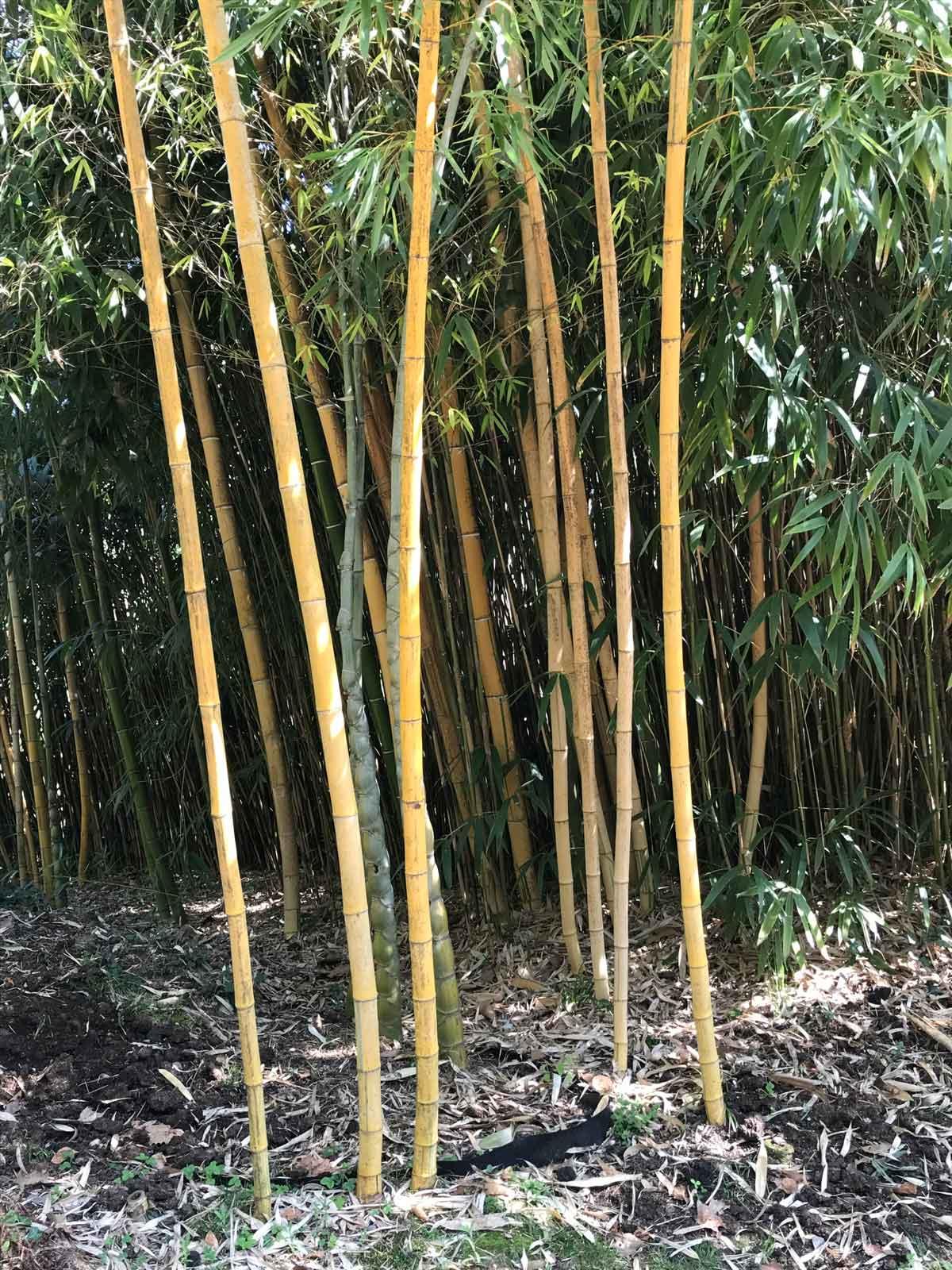 IMG_1469-2 IMG_1469-2