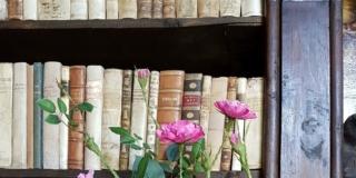 Vanitas. Fiori di carta e antichi vasi da farmacia Vanitas. Fiori di carta e antichi vasi da farmacia