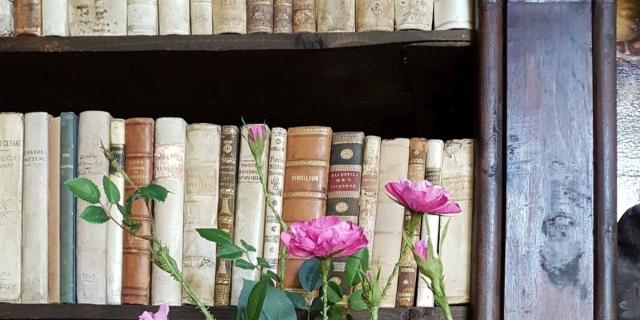 Vanitas. Fiori di carta e antichi vasi da farmacia Vanitas. Fiori di carta e antichi vasi da farmacia
