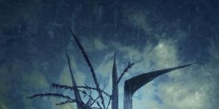 Franco Donaggio. Il bosco del pensiero Franco Donaggio. Il bosco del pensiero