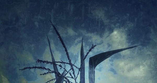 Franco Donaggio. Il bosco del pensiero Franco Donaggio. Il bosco del pensiero