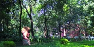 Outside the Ivory Tower: creativity makes a better life Outside the Ivory Tower: creativity makes a better life
