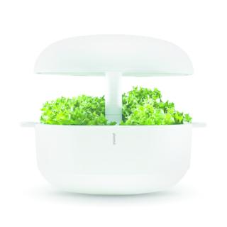 Giardino idroponico di Plantui (www.plantui-italia.it/) Giardino idroponico di Plantui (www.plantui-italia.it/)