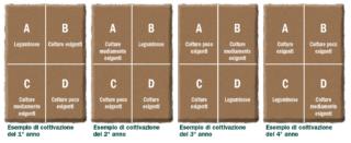 coltivazione-4-anni coltivazione-4-anni
