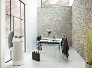 condizionatore portatile monoblocco AirFlower di Electrolux a forma di rosa condizionatore portatile monoblocco AirFlower di Electrolux a forma di rosa