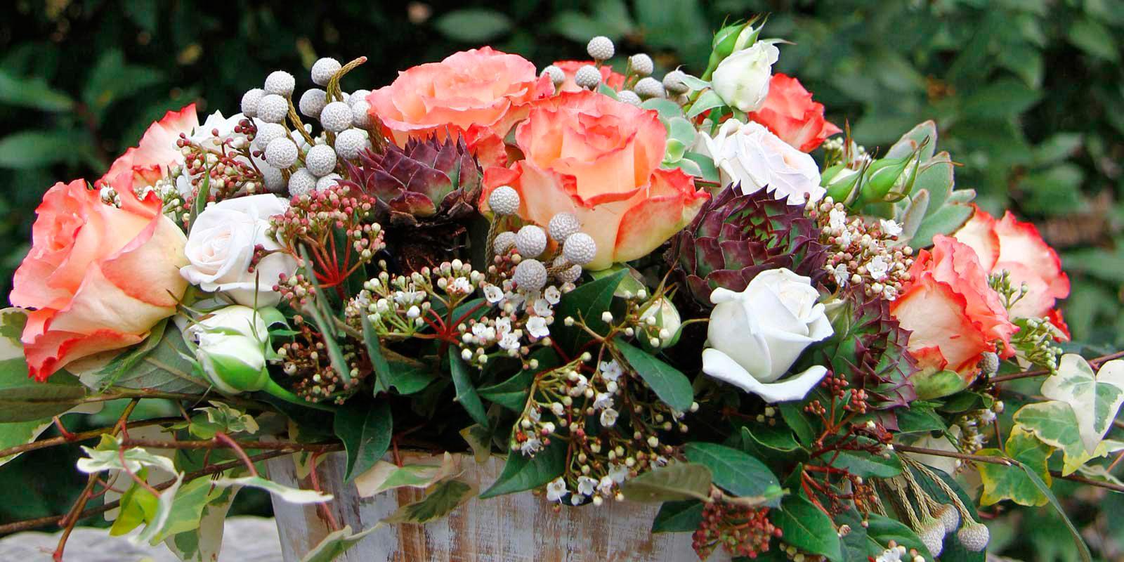 Come seccare le rose: consigli - Idee Green  Essiccare fiori, Fiori  secchi, Petali di rosa