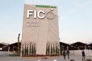 Ingresso di FICO Ingresso di FICO