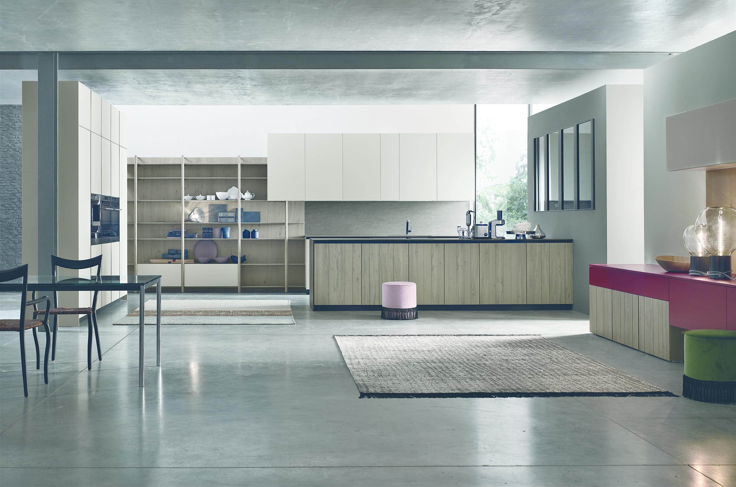 Modello Natural- Evolution System