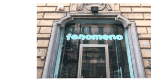 Il fungo di carrubo. Un programma di Giuseppe Buzzotta, Flavio Favelli, Tony Romanelli Il fungo di carrubo. Un programma di Giuseppe Buzzotta, Flavio Favelli, Tony Romanelli