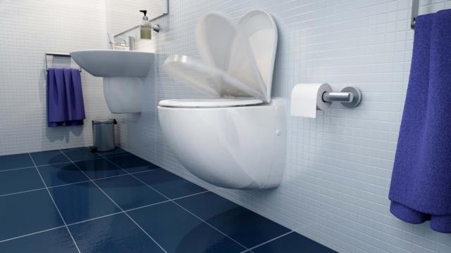 4 sanitrit sanicompactcomfort sanitari sospesi 4 sanitrit sanicompactcomfort sanitari sospesi