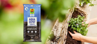 La linea Acqua Depot di Compo Bio è progettata per garantire protezione nei periodi di siccità. Il terriccio universale ha un’elevata capacità di stoccaggio dell’acqua e consente il giusto apporto di nutrienti quando fa più caldo. https://www.compo-hobby.it/ La linea Acqua Depot di Compo Bio è progettata per garantire protezione nei periodi di siccità. Il terriccio universale ha un’elevata capacità di stoccaggio dell’acqua e consente il giusto apporto di nutrienti quando fa più caldo. https://www.compo-hobby.it/