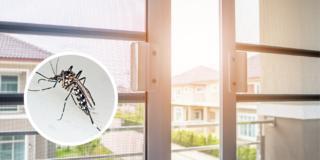 Come tenere lontane le zanzare