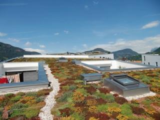 Verde estensivo Climagrün per condominio per giardino sul tetto Verde estensivo Climagrün per condominio per giardino sul tetto