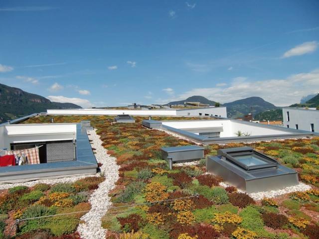 Verde estensivo Climagrün per condominio per giardino sul tetto Verde estensivo Climagrün per condominio per giardino sul tetto
