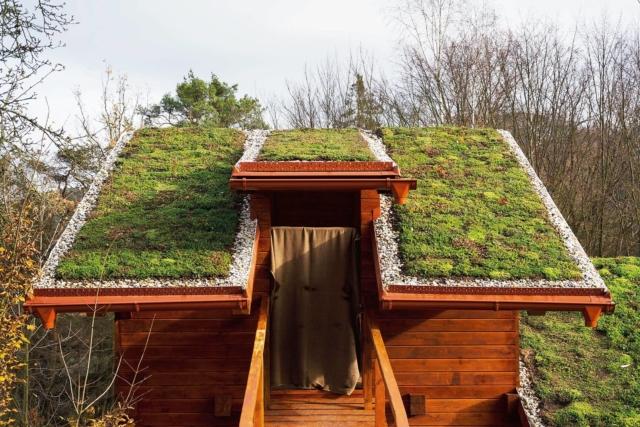 prato per giardino sul tetto: norma Uni, substrato colturale 8 cm per verde estensivo, 15 cm per intensivo prato per giardino sul tetto: norma Uni, substrato colturale 8 cm per verde estensivo, 15 cm per intensivo