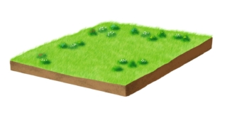 CDC_08_11_Tetto_Estensivo mod