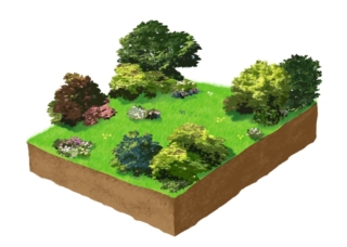 Indipendentemente  dalla destinazione d'uso dell'edificio si possono realizzare veri
e propri giardini con specie varie