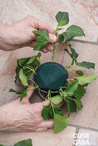 3. Creare una base verde in tutte le coppette inserendo l’edera: iniziare dal basso e proseguire verso il centro della spugna. 3. Creare una base verde in tutte le coppette inserendo l’edera: iniziare dal basso e proseguire verso il centro della spugna.