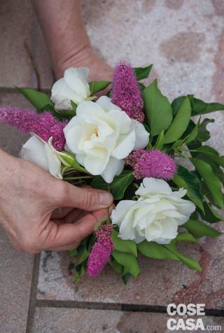 6. Nelle altre due coppette inserire 8 Rosa ‘Iceberg’, ben distanziate e distribuite, alcune in alto, altre in basso, evitando di lasciare grandi spazi vuoti, quindi, con lo stesso criterio, 8 Spiraea billardii. 6. Nelle altre due coppette inserire 8 Rosa ‘Iceberg’, ben distanziate e distribuite, alcune in alto, altre in basso, evitando di lasciare grandi spazi vuoti, quindi, con lo stesso criterio, 8 Spiraea billardii.
