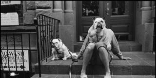 Elliott Erwitt: i cani sono come gli umani, solo con più capelli Elliott Erwitt: i cani sono come gli umani, solo con più capelli
