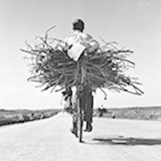 Fulvio Roiter. Fotografie 1948-2007 Fulvio Roiter. Fotografie 1948-2007