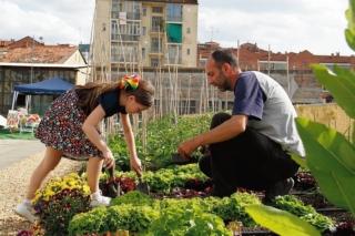 Orti Alti a Torino,giardino sul tetto alle Fonderie Ozanam Orti Alti a Torino,giardino sul tetto alle Fonderie Ozanam