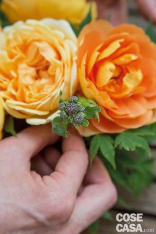 7. Punteggiare gli spazi tra una rosa e l’altra con i boccioli del Cirsium, facendo attenzione a non pungersi, e i piccoli frutti acerbi dell’Euonymus, tenendoli un po’ più in alto. Oltre a introdurre nuovi colori, questa operazione consente di dare un tocco di leggerezza, grazia e ritmo alla composizione. 7. Punteggiare gli spazi tra una rosa e l’altra con i boccioli del Cirsium, facendo attenzione a non pungersi, e i piccoli frutti acerbi dell’Euonymus, tenendoli un po’ più in alto. Oltre a introdurre nuovi colori, questa operazione consente di dare un tocco di leggerezza, grazia e ritmo alla composizione.