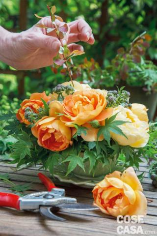 Per ultimare il lavoro dei fiori in tazza, inserire i rametti di Berberis, lasciandoli sporgere dalla composizione per sottolineare le note calde e ambrate dei fiori principali, in contrasto con quelle fresche dei fiori di complemento e delle foglie. Serve anche per movimentare ulteriormente la composizione. Per ultimare il lavoro dei fiori in tazza, inserire i rametti di Berberis, lasciandoli sporgere dalla composizione per sottolineare le note calde e ambrate dei fiori principali, in contrasto con quelle fresche dei fiori di complemento e delle foglie. Serve anche per movimentare ulteriormente la composizione.