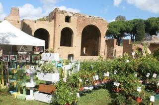 Edizioni di Terme in fiore a Civitavecchia (ROMA), alle terme di Traiano Edizioni di Terme in fiore a Civitavecchia (ROMA), alle terme di Traiano