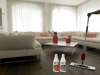 Alfred_Cleaner e Polish Alfred_Cleaner e Polish