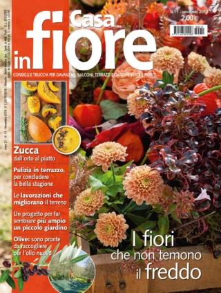 CIF11-cover CIF11-cover