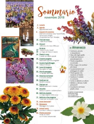 CIF11-sommario CIF11-sommario