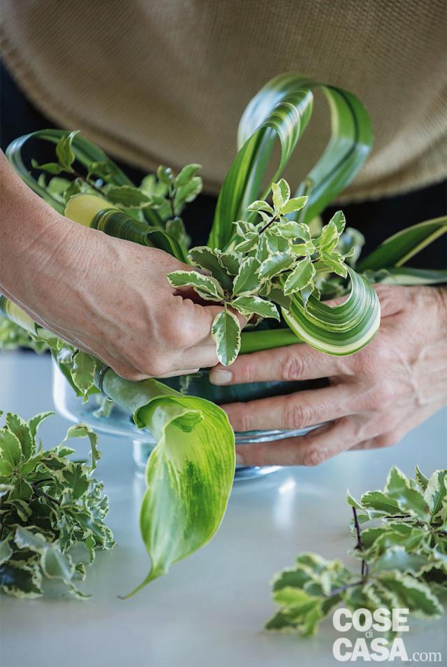 4. Distribuire i rametti di Pittosporum nella spugna per formare una base stabile che faccia risaltare i fiori (se necessario si possono usare i rametti di salal, per fornire una base più scura), lasciando spazio per i fiori e i frutti. 4. Distribuire i rametti di Pittosporum nella spugna per formare una base stabile che faccia risaltare i fiori (se necessario si possono usare i rametti di salal, per fornire una base più scura), lasciando spazio per i fiori e i frutti.