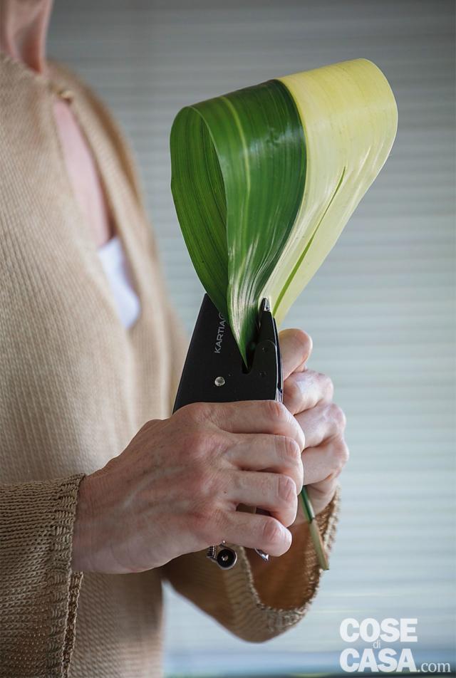2. Preparare i fiori: recidere gli steli delle rose con un coltellino affilato, piegare le foglie di aspidistra e pinzarne il lembo alla base dello stelo; curvare il gambo delle calle riscaldandolo bene con le mani. 2. Preparare i fiori: recidere gli steli delle rose con un coltellino affilato, piegare le foglie di aspidistra e pinzarne il lembo alla base dello stelo; curvare il gambo delle calle riscaldandolo bene con le mani.