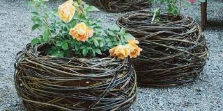 Fai da te: realizzare il coprivaso intrecciato con il salice