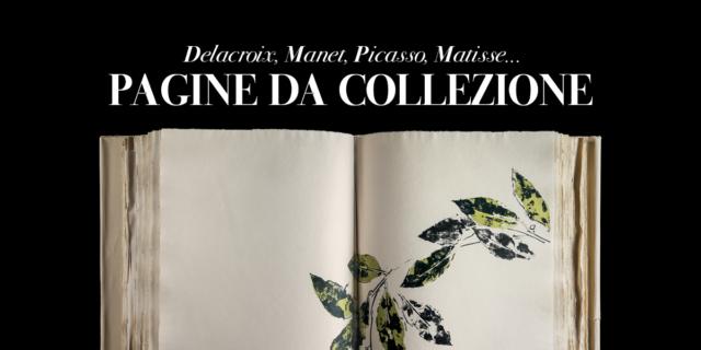 Pagine da Collezione Pagine da Collezione