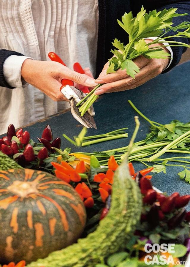 6. Infine si sistemano i tre ampalaya, chiamati anche zucche amare, caratteristici per la buccia verde bitorzoluta e la forma allungata che termina con le punte rigide. Vanno posizionati un po’ sollevati. Poi si tagliano i gambi più duri del prezzemolo e si inseriscono le foglie verdi in tutte le zone che ci sembrano “vuote”. 6. Infine si sistemano i tre ampalaya, chiamati anche zucche amare, caratteristici per la buccia verde bitorzoluta e la forma allungata che termina con le punte rigide. Vanno posizionati un po’ sollevati. Poi si tagliano i gambi più duri del prezzemolo e si inseriscono le foglie verdi in tutte le zone che ci sembrano “vuote”.