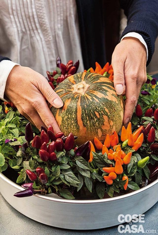 4. Appoggiare la zucca sopra al vasetto rovesciato. È importante che le dimensioni della zucca chiudano visivamente lo spazio centrale. Quindi, prima di scegliere l’ortaggio (per colore e forma), valutate le dimensioni dell’area da coprire: se la teglia ha diametro 36 cm e i vasetti di 7 cm, lo spazio vuoto restante è di 22 cm. La nostra zucca deve avere un diametro non superiore a 20 cm e non inferiore a 15 cm. 4. Appoggiare la zucca sopra al vasetto rovesciato. È importante che le dimensioni della zucca chiudano visivamente lo spazio centrale. Quindi, prima di scegliere l’ortaggio (per colore e forma), valutate le dimensioni dell’area da coprire: se la teglia ha diametro 36 cm e i vasetti di 7 cm, lo spazio vuoto restante è di 22 cm. La nostra zucca deve avere un diametro non superiore a 20 cm e non inferiore a 15 cm.