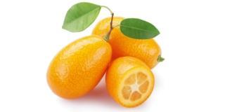 Chinotto, kumquat e limone cedrato: agrumi in vaso