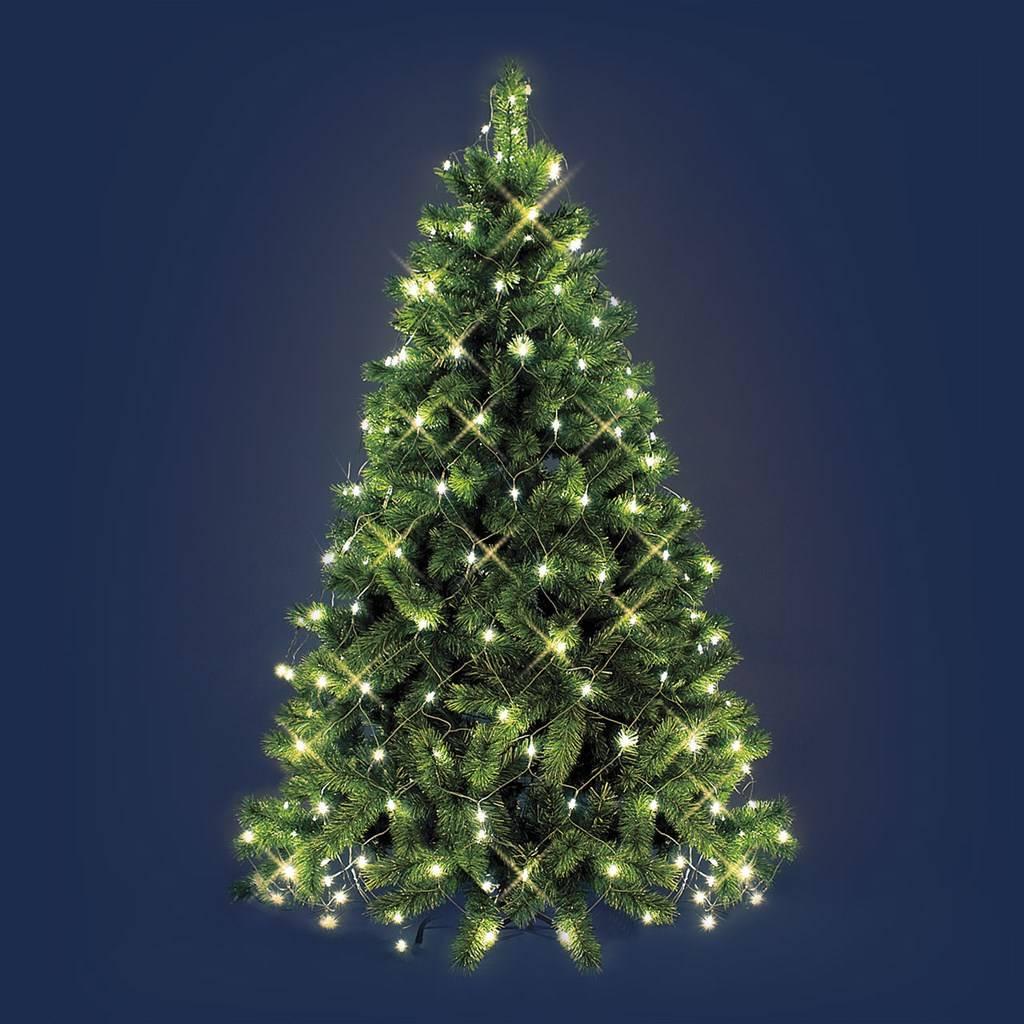 luci di Fata di pigna Ghirlanda di luci di Pino di Ghirlanda Luci di Ghirlanda di Natale di Bacche Rosse per Albero di Natale e Decorazioni per la casa rosemaryrose Natale String Light 