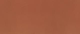 Piastrella CERAMICHE REFIN CREOS cORAL 120x278 Piastrella CERAMICHE REFIN CREOS cORAL 120x278