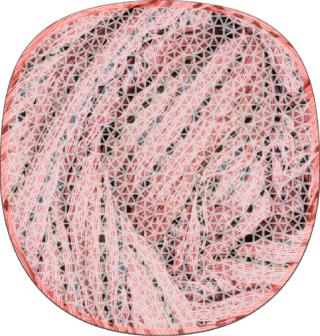 G.T.DESIGN UltraNative living coral G.T.DESIGN UltraNative living coral