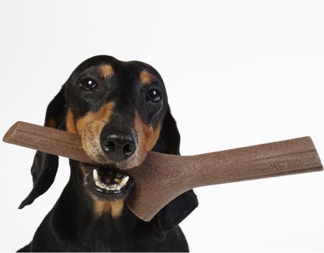 Gioco per cani Gioco per cani