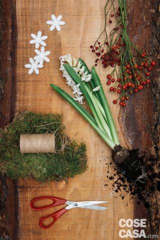 giacinti-0 giacinti-0