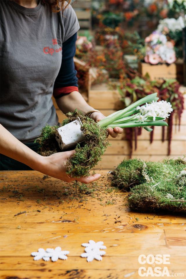 2. Iniziare lentamente e con delicatezza ad avvolgere il muschio intorno alla parte superiore del vasetto di giacinto (che manteniamo per facilitare la stabilità della composizione), quindi passare ai lati. Durante questa fase non stringere con forza lo stelo del giacinto che potrebbe spezzarsi. 2. Iniziare lentamente e con delicatezza ad avvolgere il muschio intorno alla parte superiore del vasetto di giacinto (che manteniamo per facilitare la stabilità della composizione), quindi passare ai lati. Durante questa fase non stringere con forza lo stelo del giacinto che potrebbe spezzarsi.